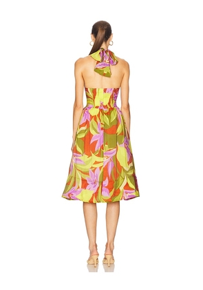 ASTR the Label Kalia Dress in Green. Size M. Also in S.