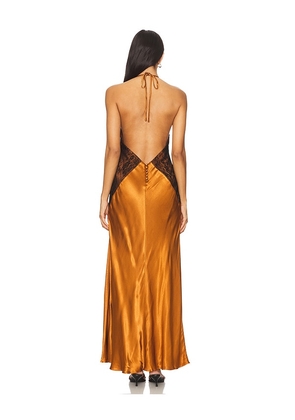 Bardot Estrella Halter Maxi Dress in Burnt Orange,Black. Size 2. Also in 4.