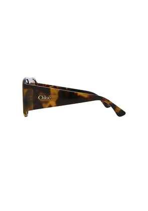Chloe Izia Sunglasses in Brown.