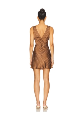 Ciao Lucia Manolo Dress in Brown. Size M. Also in S, XL.