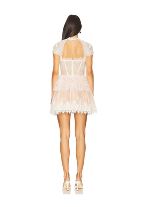 Bronx and Banco Daphne Mini Dress in Ivory. Size M. Also in L, S.