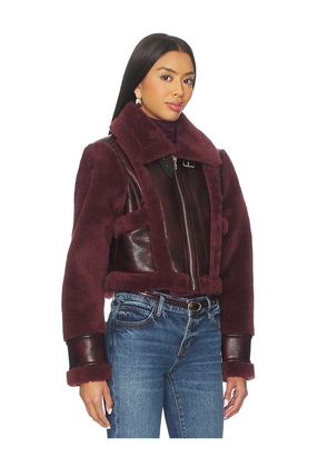 BLANKNYC Cropped Jacket in Burgundy. Size S. Also in XS, M, L.