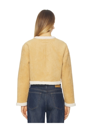 BLANKNYC Cropped Jacket in Ahead Of The Curve in Tan. Size M. Also in L.
