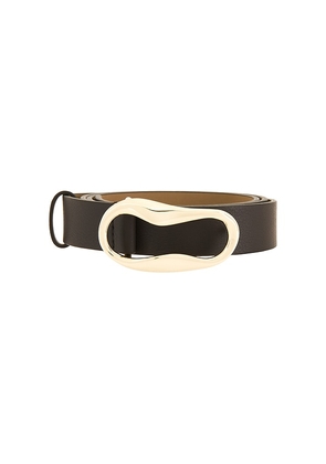 B-Low the Belt Alessia Belt in Chocolate. Size M. Also in L.