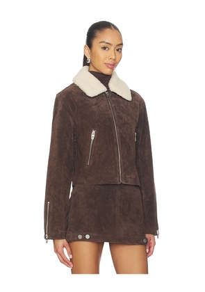 BLANKNYC Cropped Jacket in Brown. Size L. Also in S, M.