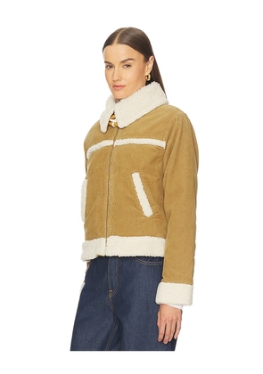 AMO Denim Betty Shearling Jacket in Brown. Size M. Also in XS, S, L.