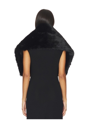 Apparis Dakota Sable Shawl in Black.