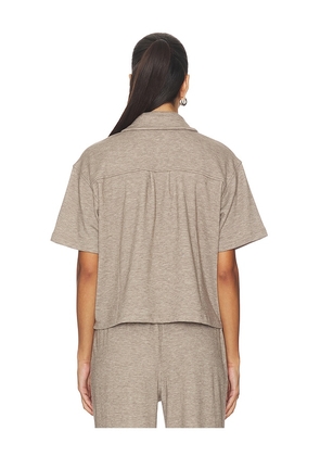 Bobi Short Sleeve Polo Tee in Taupe. Size L. Also in XS, S, M, XL.