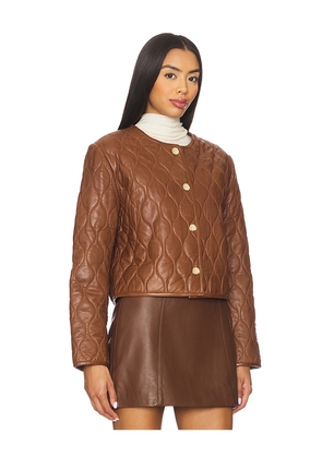 CAMI NYC Wanda Genuine Leather Jacket in Brown. Size S. Also in XS.