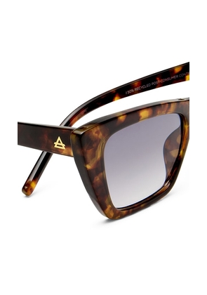 AIRE Solstice Sunglasses in Brown.