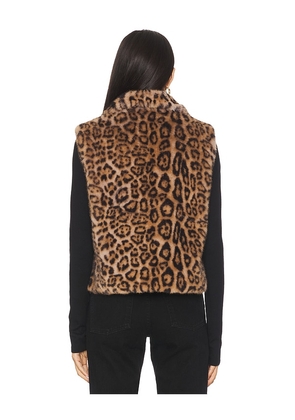 Adrienne Landau Printed Rabbit Vest in Brown. Size M. Also in S, L.