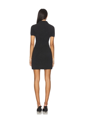 Alexander Wang Polo Dress in Black. Size M. Also in S.
