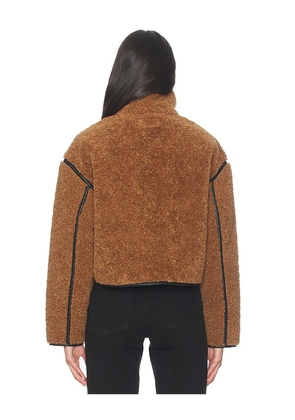 BLANKNYC Teddy Coat in Brown. Size M. Also in XS, L.