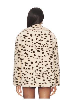 BLANKNYC Teddy Coat in Brown. Size M. Also in XS, S.