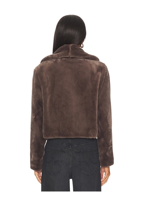 BLANKNYC Cropped Faux Fur Coat in Brown. Size M. Also in XS, S, L.