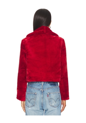 BLANKNYC Cropped Faux Fur Coat in Red. Size M. Also in XS, S.