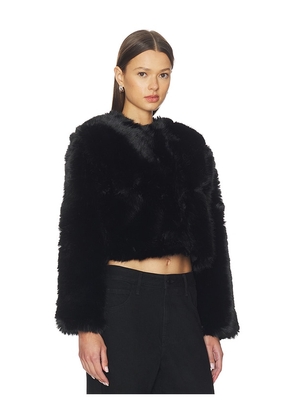 BLANKNYC Crop Faux Fur Coat in Black. Size M. Also in L.