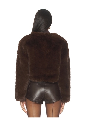 BLANKNYC Crop Faux Fur Coat in Brown. Size L. Also in S, M.