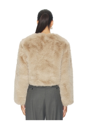 BLANKNYC Crop Faux Fur Coat in Beige. Size L. Also in XS, S, M.
