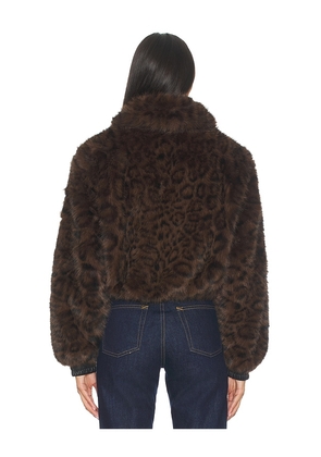 BLANKNYC Cropped Faux Fur Coat in Brown. Size M. Also in XS, S, L.