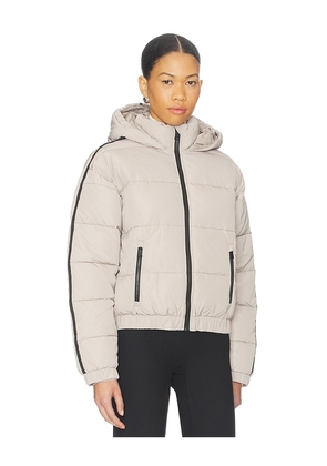 Alp N Rock Whitney Puffer Jacket in Taupe. Size S. Also in M, L.