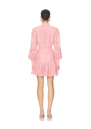 Bardot Remy Lace Dress in Pink. Size 10. Also in 4, 2, 6, 8, 12.
