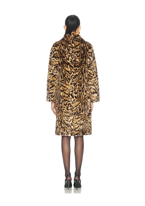 Adrienne Landau Heritage Coat in Brown. Size S. Also in M.