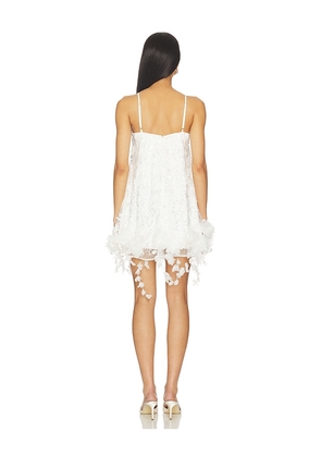 ELLIATT Rina Shift Mini Dress in White. Size S. Also in XS.