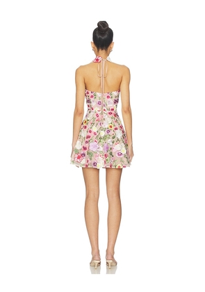 ELLIATT Neve A Line Mini Dress in Pink. Size L. Also in S, XS, M, XL.