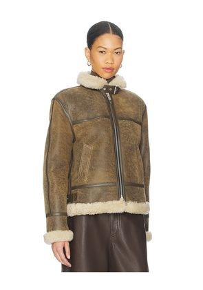 ALLSAINTS Lorel Vintage Jacket in Brown. Size S. Also in XS, L.