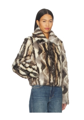 Adrienne Landau Emory Jacket in Gray, Brown. Size M. Also in S, L.