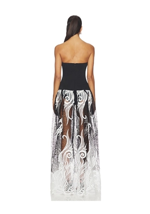 DELFI Olympia Dress in Black, White. Size M. Also in XS, S, L.