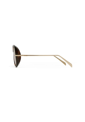 Banbe The Harley Sunglasses in Brown.