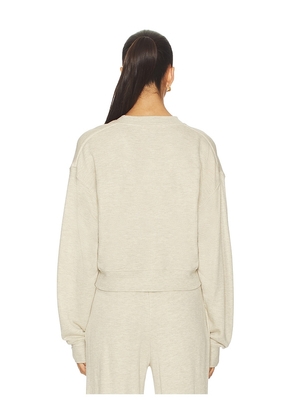 Eterne Cropped V-neck Sweatshirt in Beige. Size M. Also in XS, L.