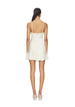 Bardot Alerie Lace Satin Mini Dress in Ivory. Size 10. Also in 4, 2, 6, 8, 12.