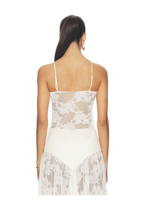 Bardot Hildie Sheer Lace Cami in Beige. Size 10. Also in 6, 8.