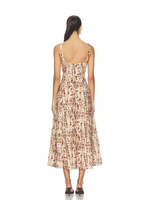 Bardot Lilah Corset Midi Dress in Brown. Size 10. Also in 4, 2, 6, 8.