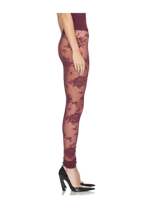 The Andamane Zillah Lace Leggings in Burgundy. Size M. Also in L, S, XS.