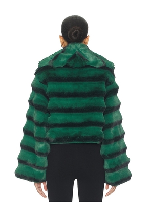Adrienne Landau Chinchilla Jacket in Green,Black. Size S. Also in M.