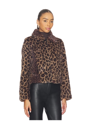 ALLSAINTS Saye Faux Fur Jacket in Brown. Size M. Also in S.