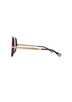 Chloe Aly Sunglasses in Burgundy.