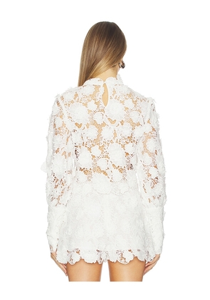 Bardot Lace Georgia Top in Ivory. Size 10. Also in 4, 2, 6, 8.