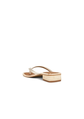 Dolce Vita Barty Sandal in Metallic Gold. Size 6. Also in 10, 6.5, 7, 7.5, 8, 8.5.