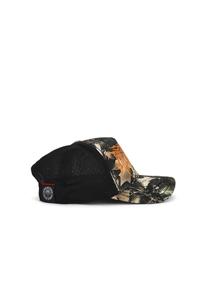 Affliction Skull Tree Camo Hat in Grey.