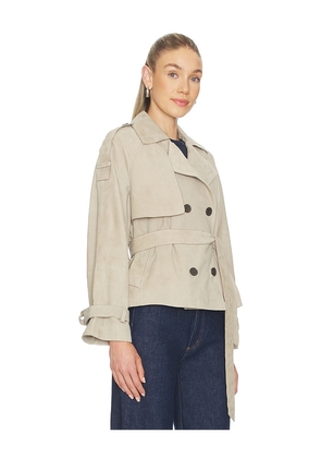 ALLSAINTS Reed Suede Jacket in Taupe. Size L. Also in S, M.