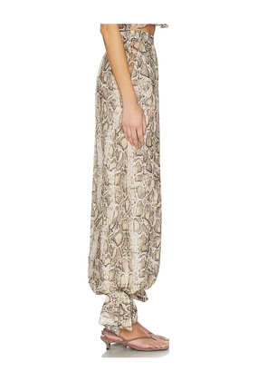 Bardot Alira Printed Balloon Pant in Brown. Size 10. Also in 4, 6, 8.