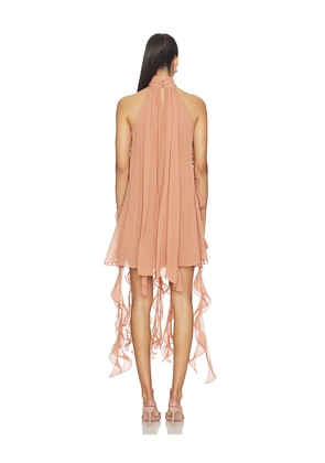 Aniye Records Gaby Ruffle Dress in Rose. Size XS. Also in S, M, L.