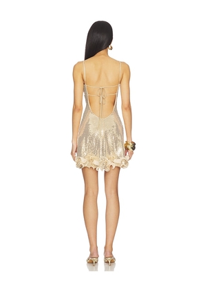 Aniye Records Mellory Slip Dress in Metallic Gold. Size XS. Also in S, M, L.