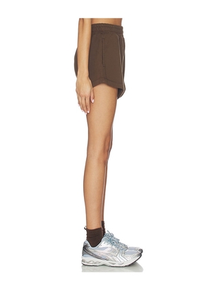 Daily Drills Super Shorts in Brown. Size XS/S. Also in M/L.