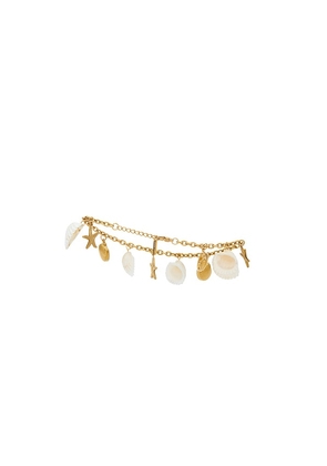 Casa Clara Eva Beach Anklet in Metallic Gold,White.